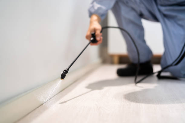 Certified termite inspector examining foundation in Carterville